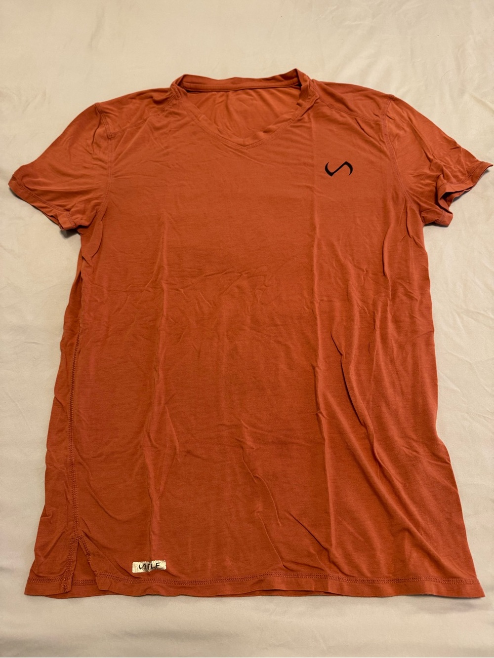 Tlf Men's Short Sleeve V-Neck Tee in Rust with Subtle Logo